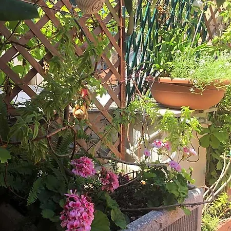 Bed & Breakfast La Terrazza