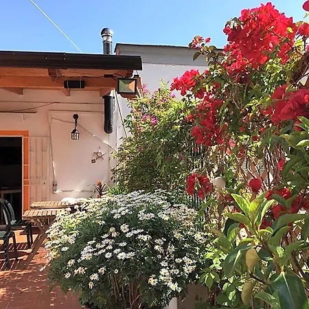 Bed & Breakfast La Terrazza Napoli