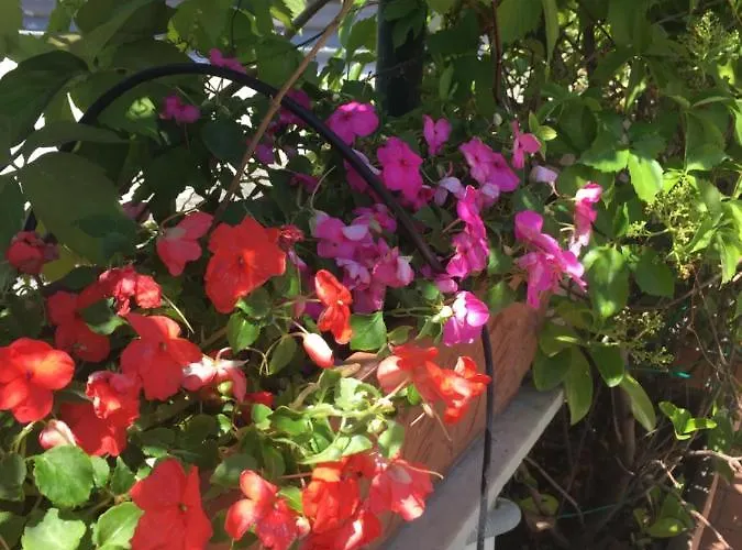 La Terrazza Νάπολη