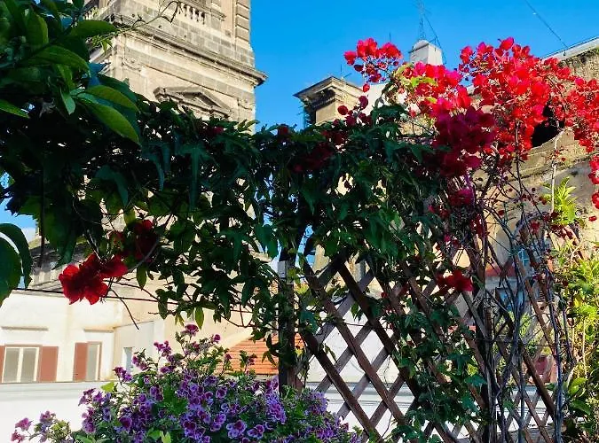 La Terrazza Bed and Breakfast