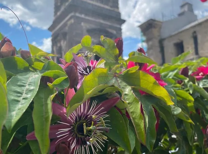 La Terrazza Bed and Breakfast Νάπολη