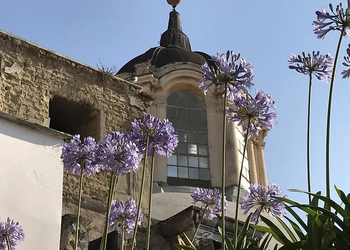 La Terrazza Bed and Breakfast