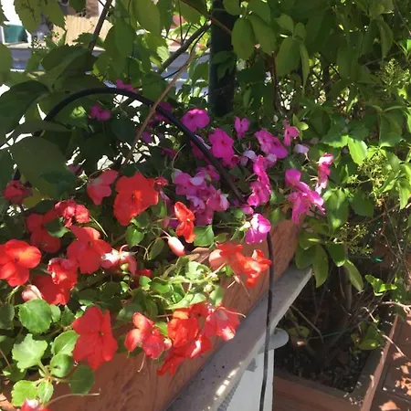 La Terrazza Nápoly