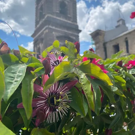 La Terrazza Bed & Breakfast Naples