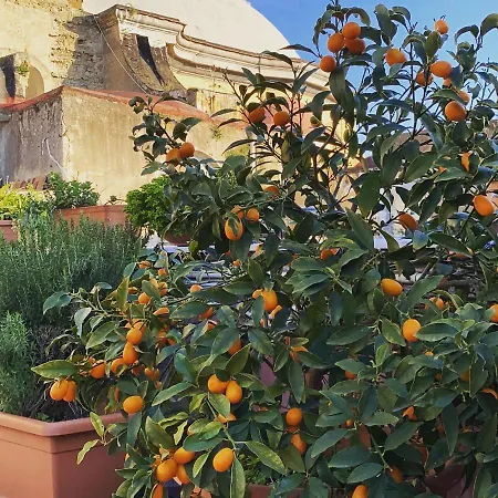 La Terrazza *
